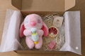 [Tiny Teddy x MiShell] Special Collaboration - Stitch