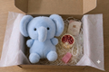 [Tiny Teddy x MiShell] Special Collaboration - Voi xanh